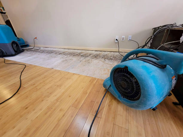 Professional Water Removal technician working in Joshua, TX